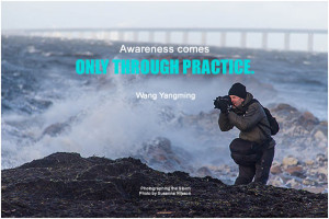 Wang Yangming Awareness comes only through practice