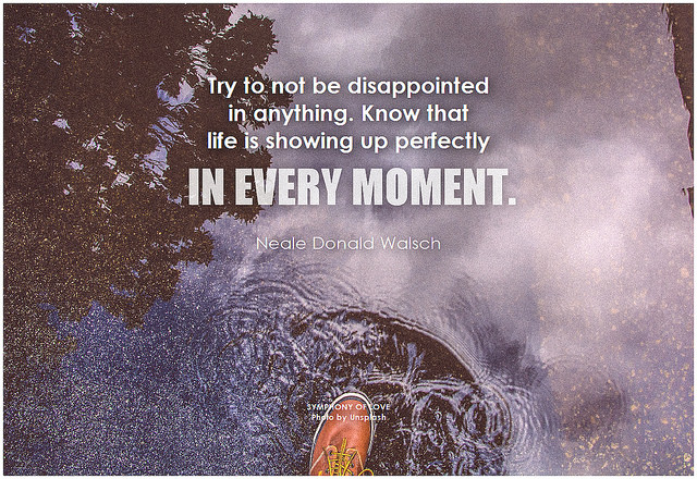 Neale Donald Walsch Try to not be disappointed in anything. Know that life is showing up perfectly in every moment