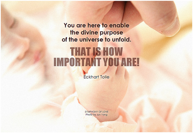 Eckhart Tolle You are here to enable the divine purpose of the universe to unfold. That is how important you are